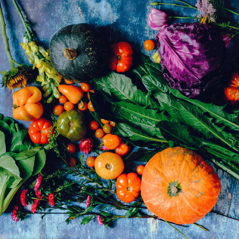 A colorful assortment of vegetables, including various peppers, pumpkins, tomatoes, leafy greens, and purple cabbage.